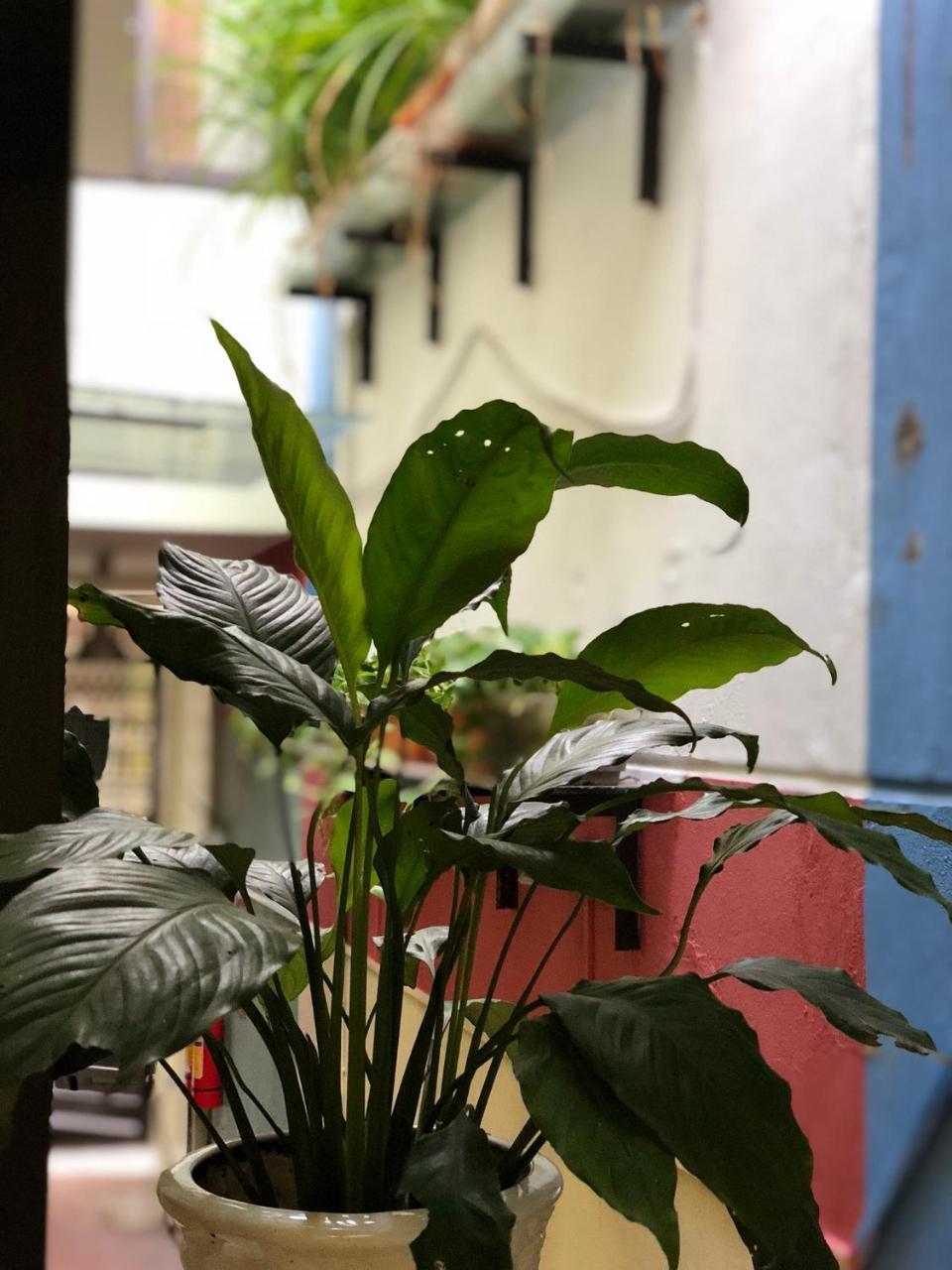 Ventana House Leilighet Hai Phong Eksteriør bilde