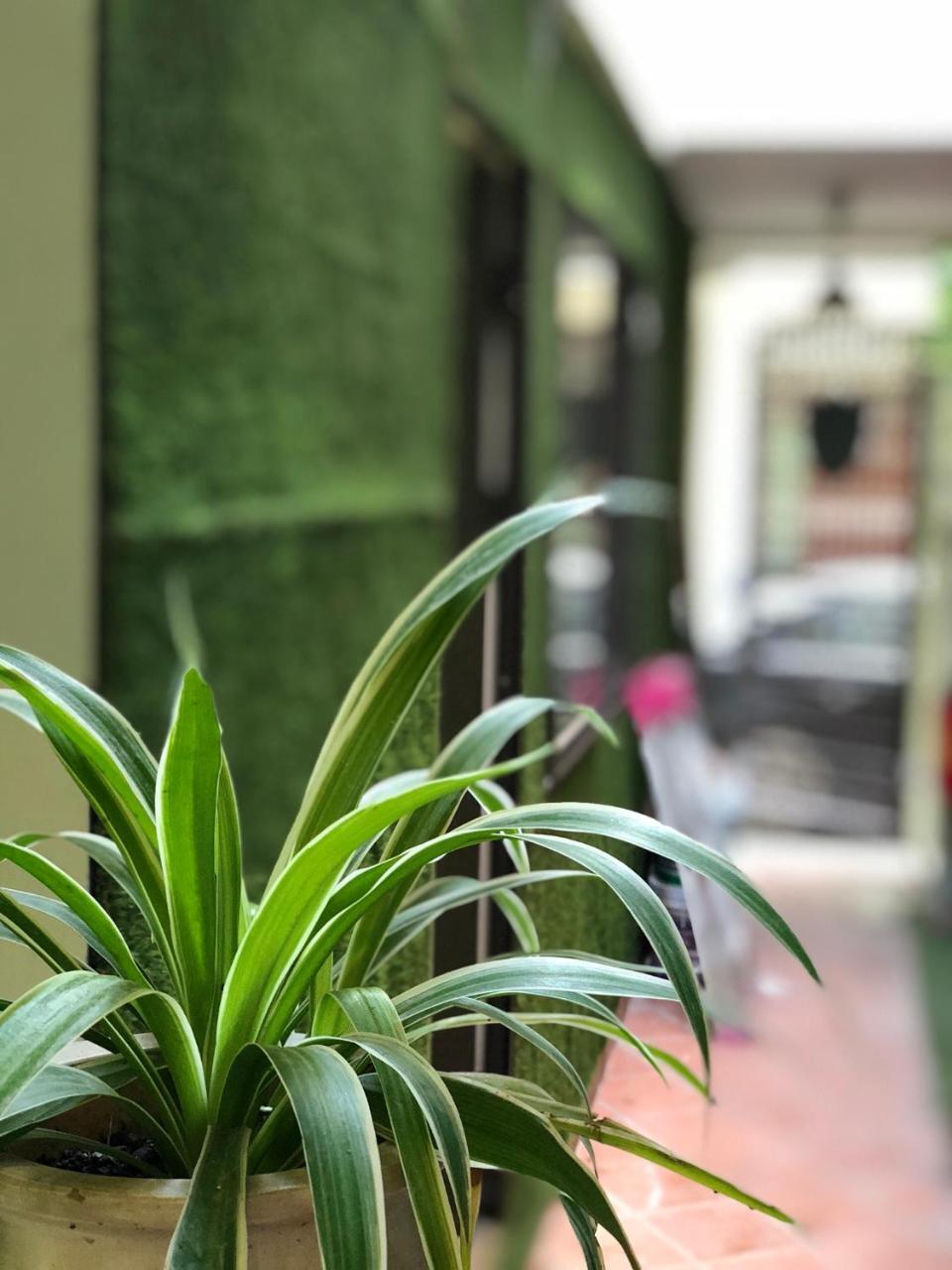 Ventana House Leilighet Hai Phong Eksteriør bilde